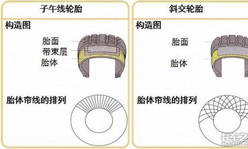 轮胎可根据什么进行分类_轮胎按气候条件可分为什么