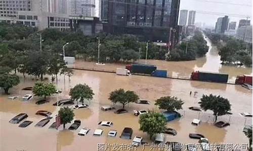 广州暴雨最新消息今天前夕野生动物有哪些_广州暴雨最新消息今天