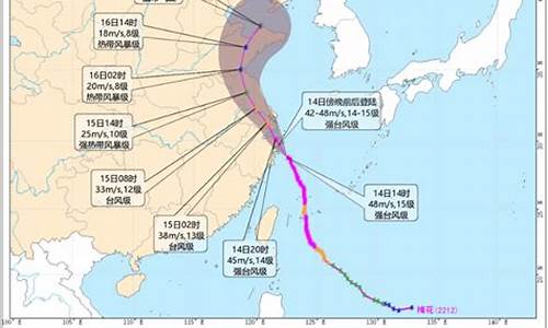 浙江水利台风路径实时图高_浙江水利台风路径